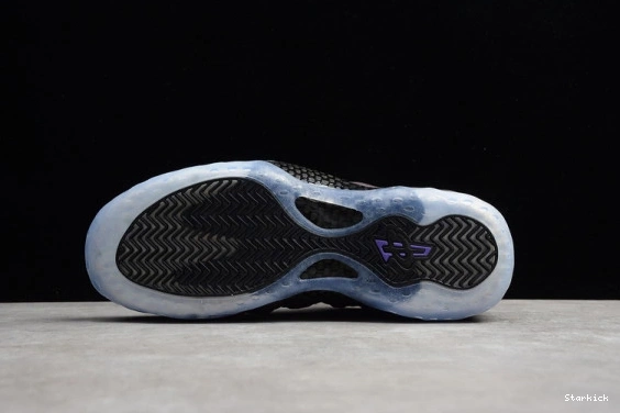 Eggplant  Air Foamposite 314996-008 One (2017) 0109